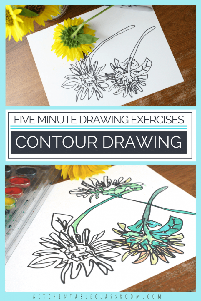 Contour Drawing For Kids- An Easy Exploration - The Kitchen Table Classroom
