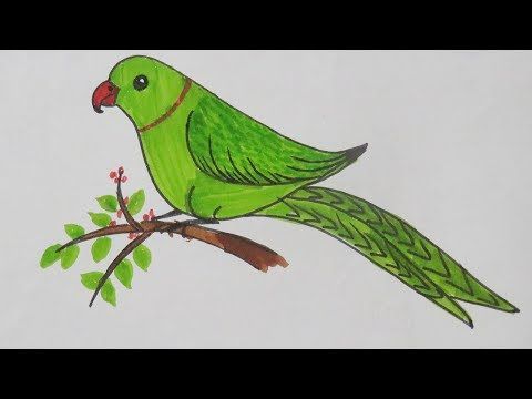 How To Draw Smiling Parrot - Simple Nature Drawing - Very Easy Step Of Drawing For Kids