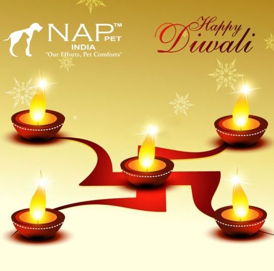 Wish you very happy diwali.