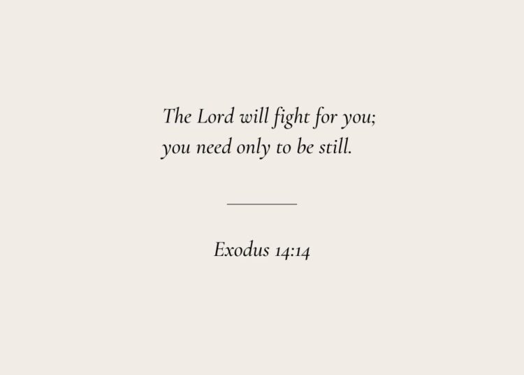 Bible Verse | Exodus 14:14