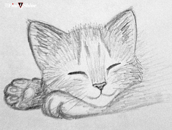 Cat Drawing Easy 5