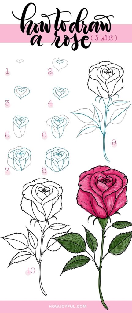 Drawings Of Roses: How To Draw Simple Roses Step By Step (4 Ways)