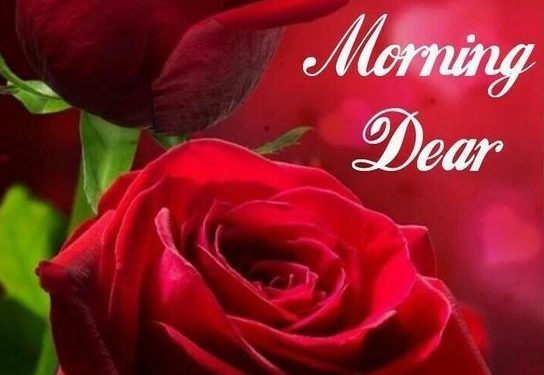 100+ Good Morning Dear Images 2023 Free Download