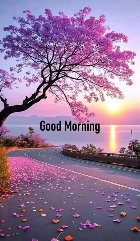 Good Morning Image4 Good Morning Image4