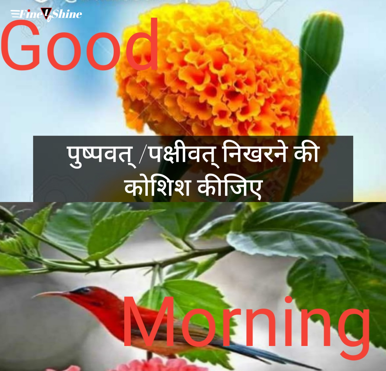 400+ Best Good Morning Quotes In Hindi 2022
