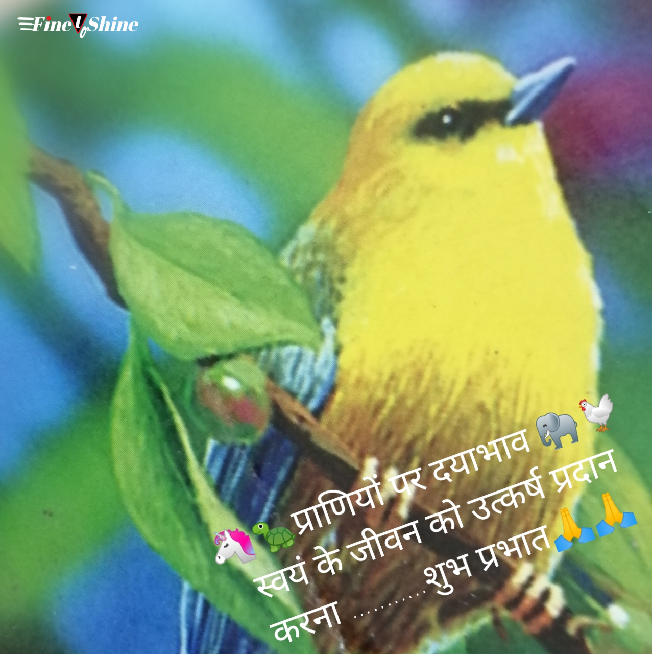 Good Morning Quotes In Hindi 4