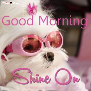 Good Morning Shine On