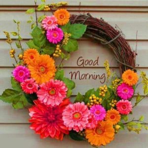 Good Morning Whatsapp Images With Flowers Free Download