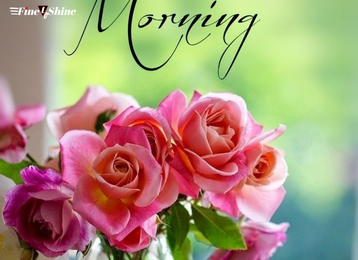 10 Good Morning Wishes To Start A Fresh New Day