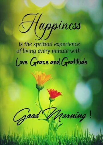 Good Morning | Daily Wishes #Goodmorning #Morning #Sunday #Dailyquotes #Wishes #