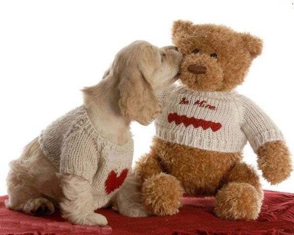 Happy Teddy Day Hd Wallpapers Facebook Photos, Whatsapp Images, ...