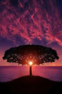 Have a nice day Nice Day Wallpaper