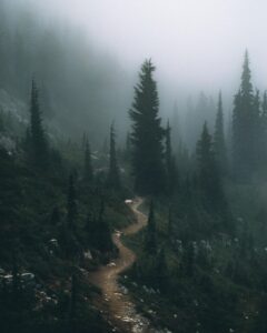 Hiking through the mist. Mt. Rainier National Park  (3648×4560) HD Wallpaper