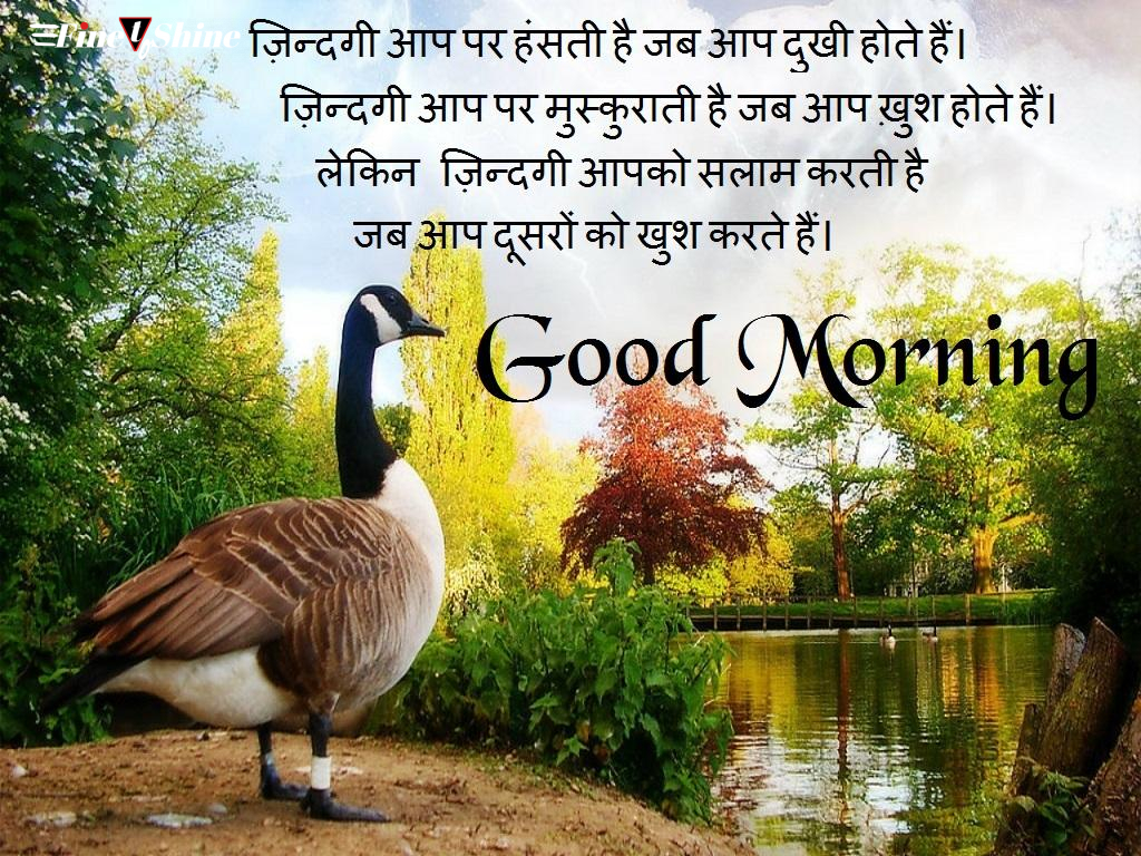 Hindi Good Morning Images 2023