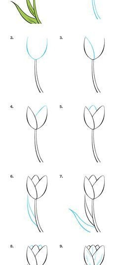 How To Draw A Tulip – Really Easy Drawing Tutorial