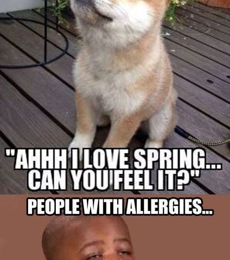 People With Allergies - Funny Meme