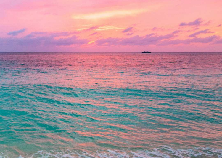 Pink Beach Wallpaper: 31 Gorgeous Beach Scenes (Free)