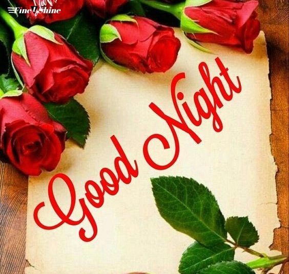 Romantic Beautiful Rose Quotes Good Night Pic Wallpaper Hd Love