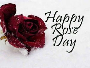 Rose Day – Images, Pics, Pictures, Photos and Wallpapers