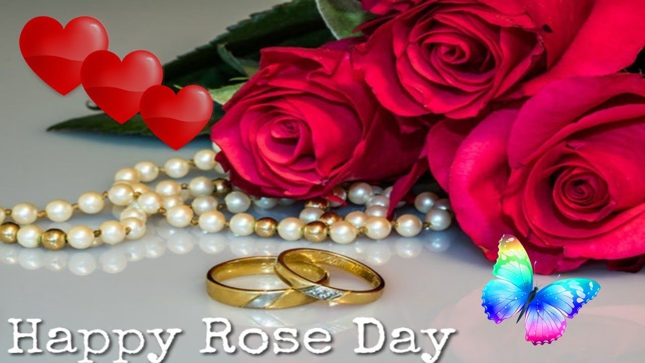 Rose Day Whatsapp Status 2021 | Special Rose Day Status | Rose D...