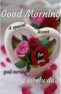 Special Rose Good Morning Quote Image HD