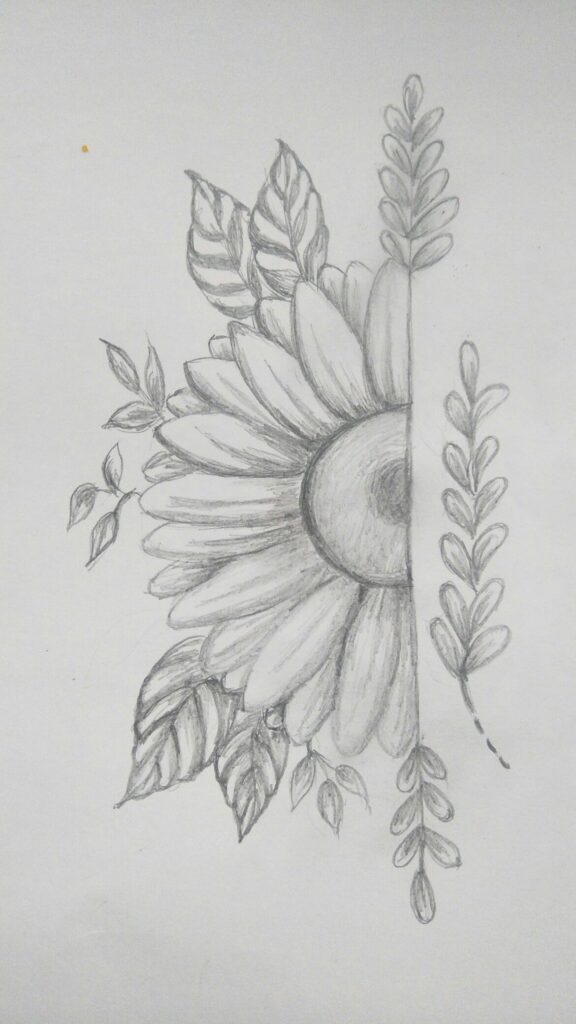 Sunflower Pencil Shading Drawing