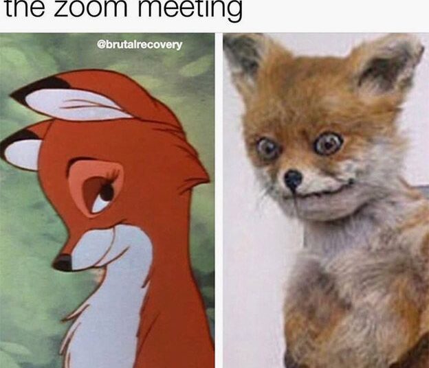 The Best Self-Isolation Memes To Keep You Entertained While On Lockdown