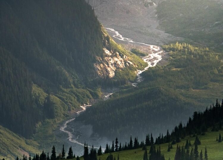 The Last Light Of Day Illuminates The White River On Mount Rainier [Oc][1333X200