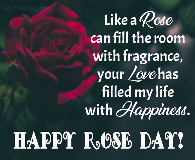Top 20 World Rose Day Quotes And Messages | Message For Day
