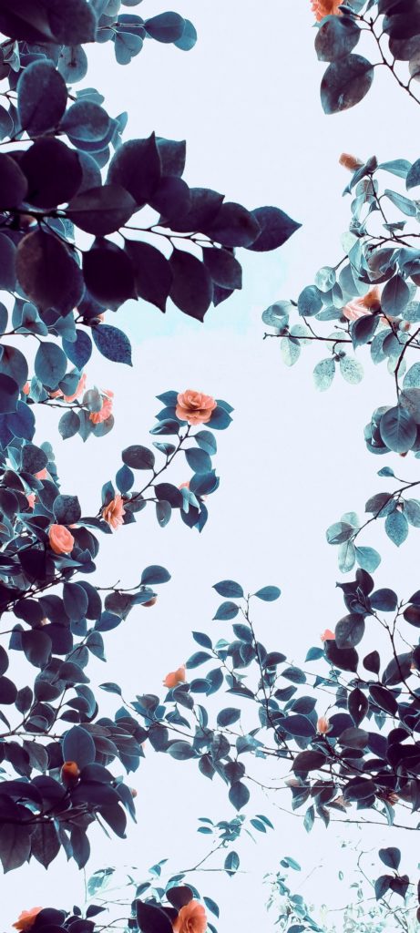 Realme Narzo 30A Wallpapers Realme Narzo 30A Wallpapers