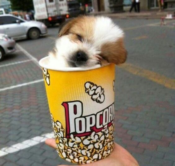 Who Else Love Popcorn ?