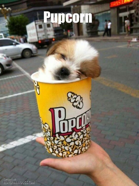 Who Else Love Popcorn ?