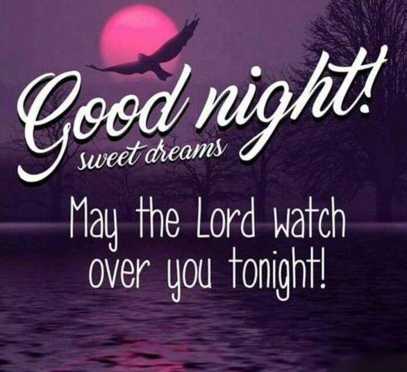 Good Night Blessings Sleep Peace