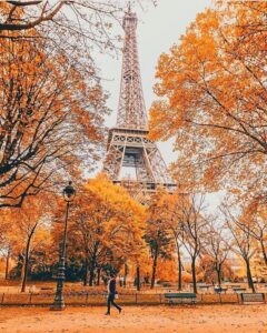 la tour en automne HD Wallpaper