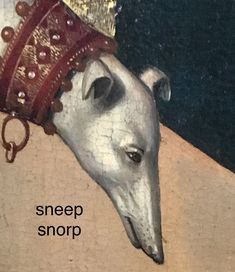 Sneep Snorp